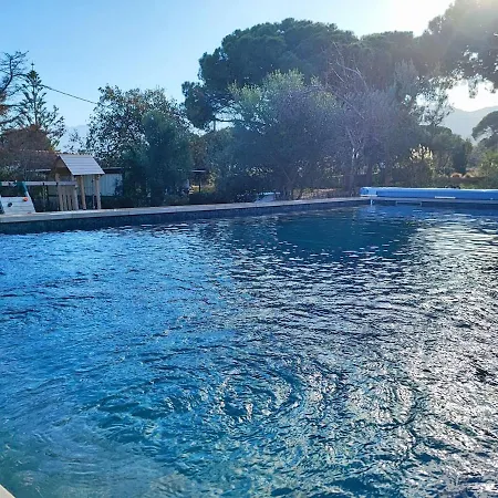 Villa Alpana Calvi (Corsica)